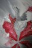Bild 2 (Zoom)